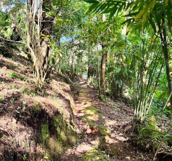 Finca en Carrizal de Alajuela