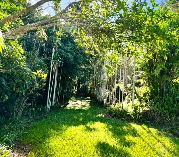Finca en Carrizal de Alajuela