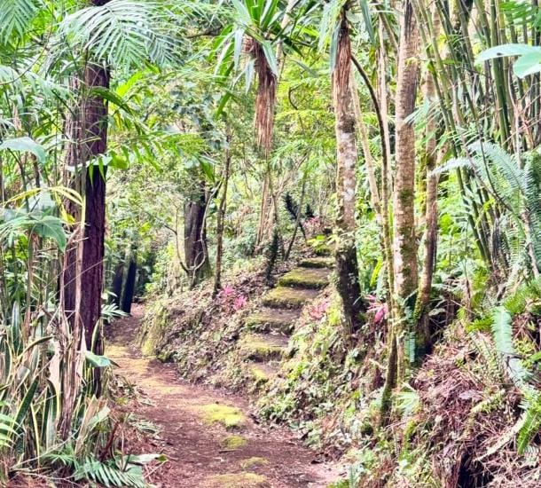 Finca en Carrizal de Alajuela