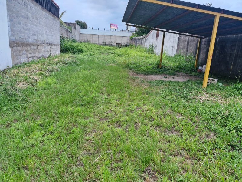 ¡SE VENDE LOTE PLANO EN YOSES SUR, ZAPOTE!